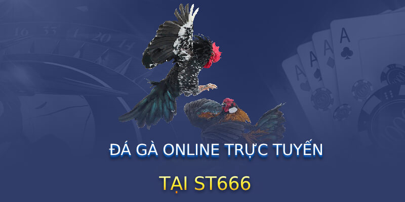 Đá gà online trực tuyến tại ST666